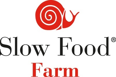 Slow food international