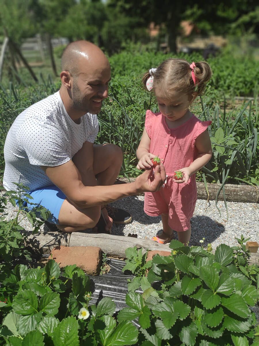 Our garden