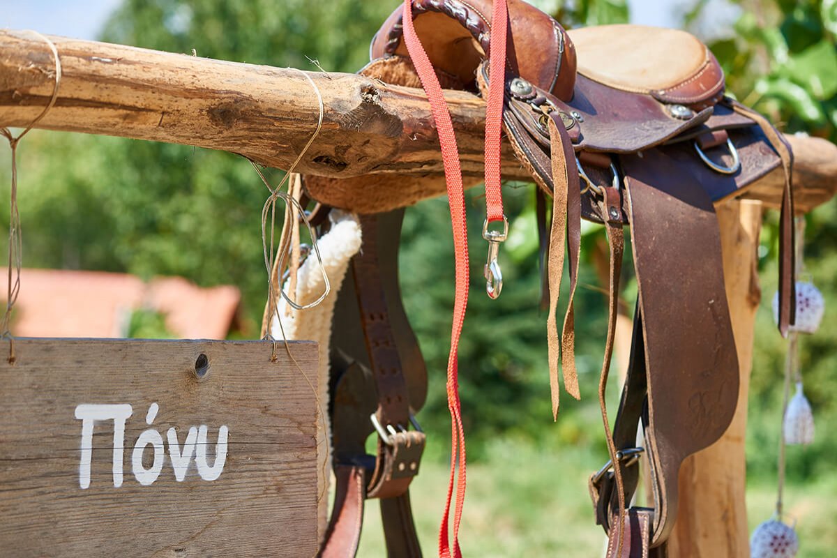 Pony riding