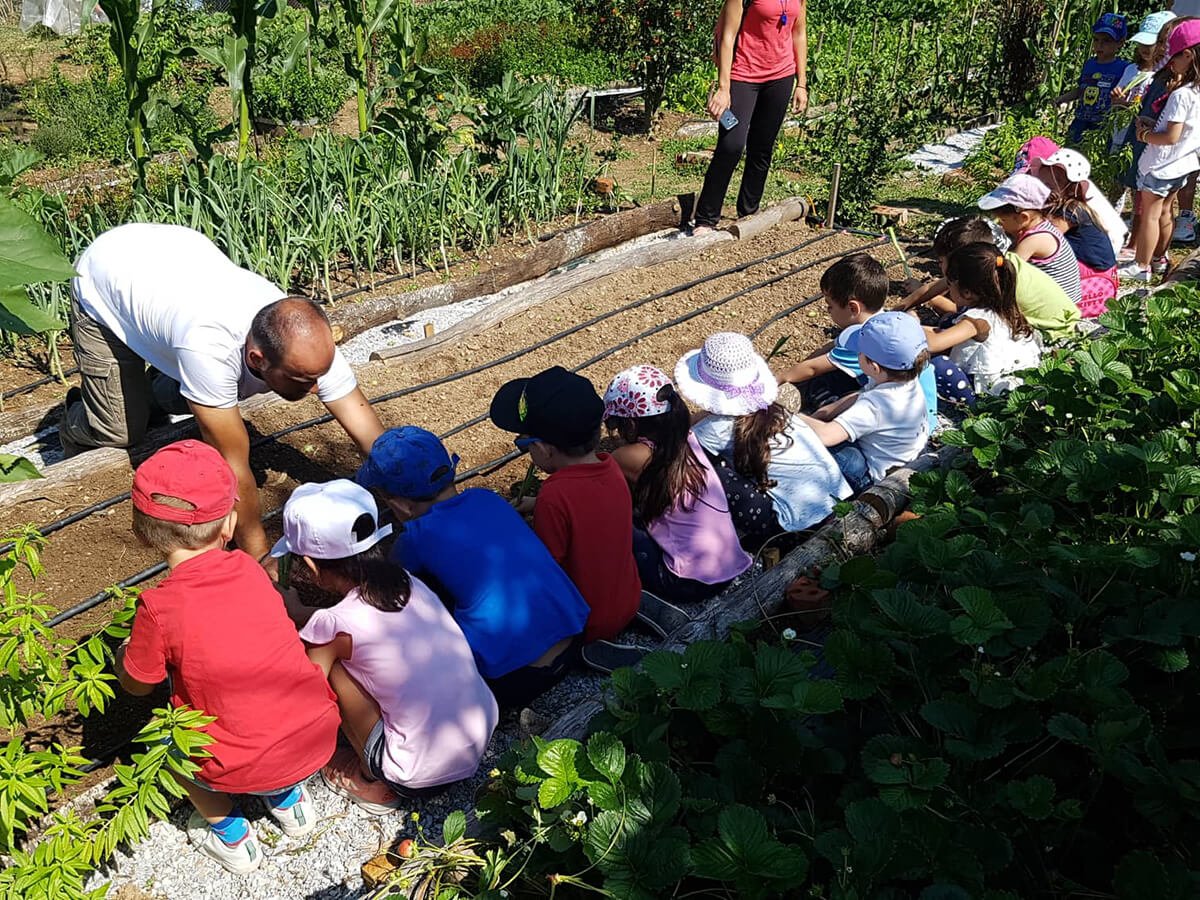 School day trip