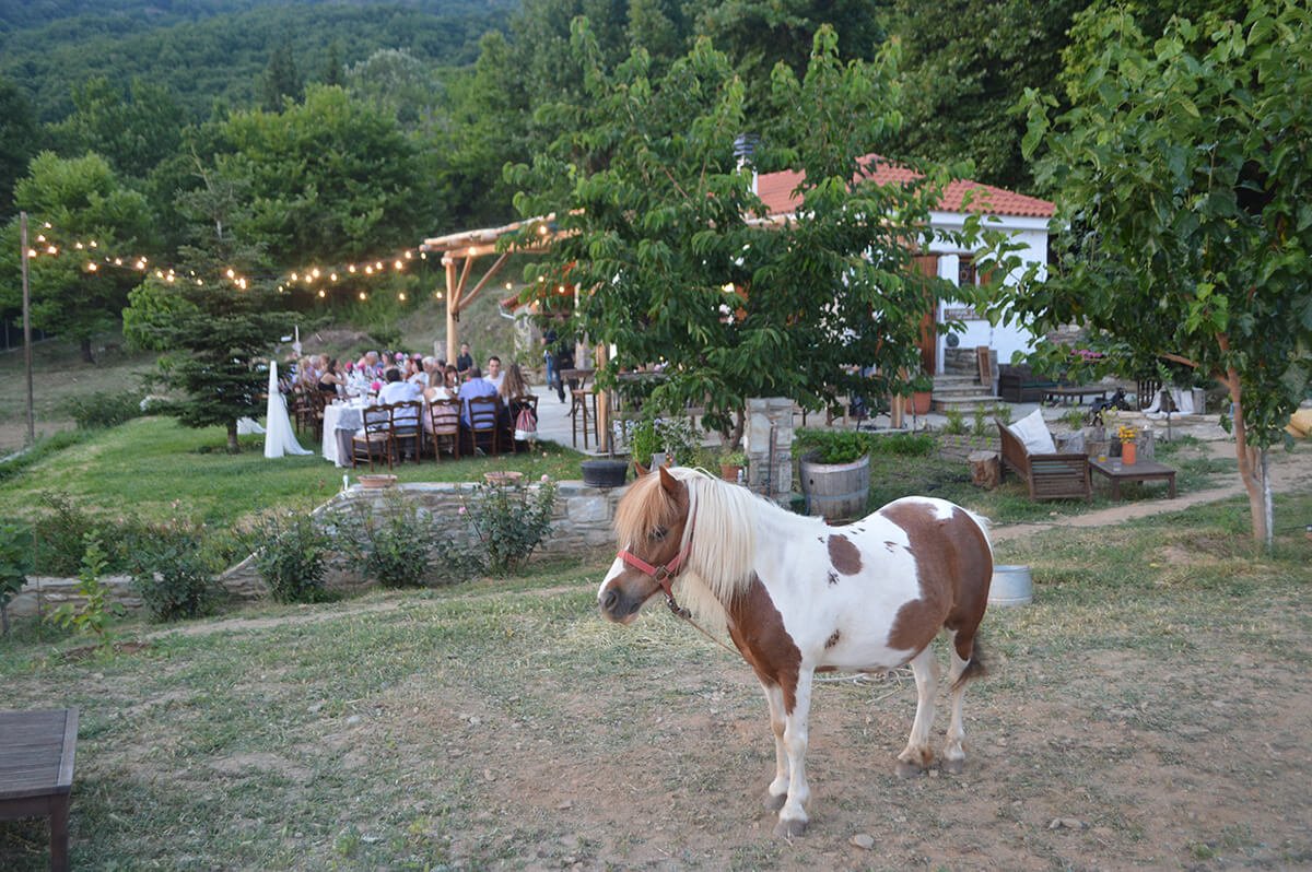 Farm weddings