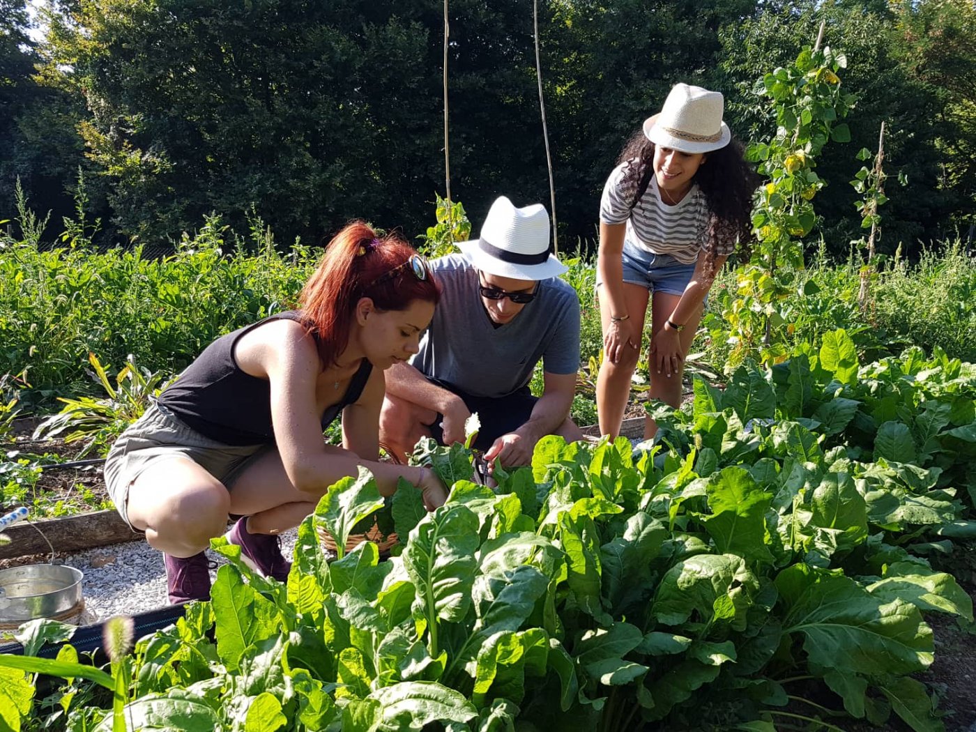 Cooking lesson -Greek Souvlaki –in Pelion Countryside