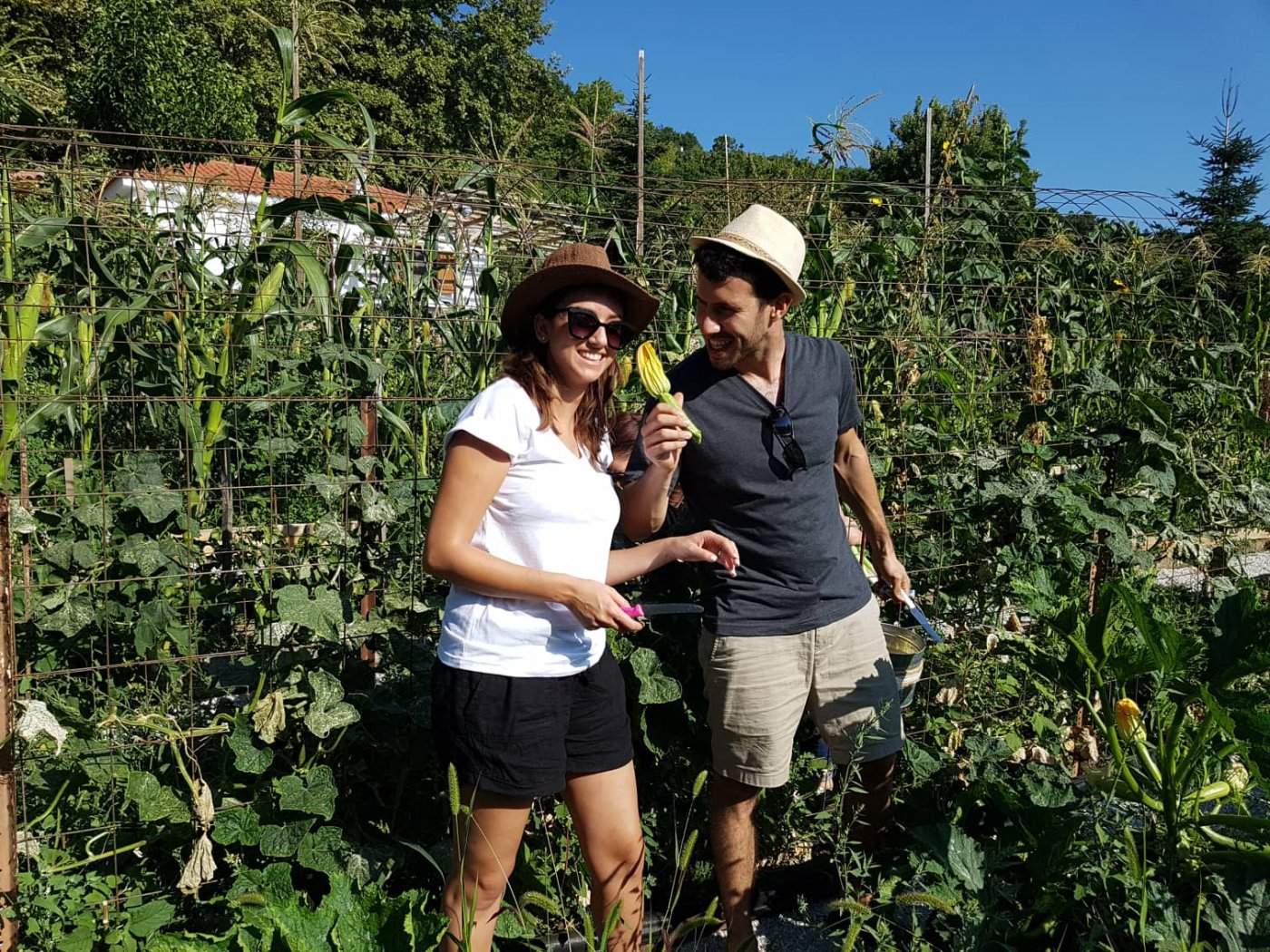 Discovering the secrets of Pelion’s land